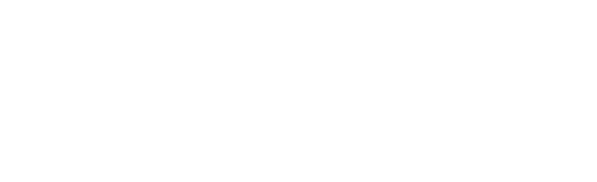 Fully Homes Logo